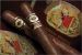 Belicoso